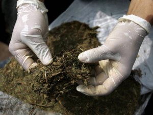Slika PU_VS/Droga/marihuana - paketić2.jpg